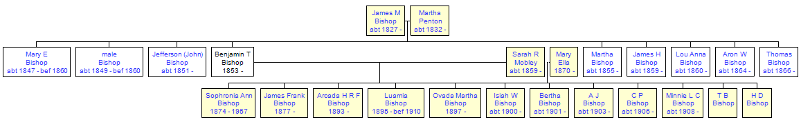 Mini tree diagram