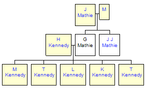 Mini tree diagram