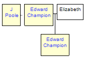 Mini tree diagram