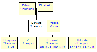 Mini tree diagram