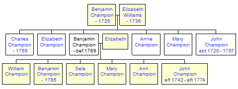 Mini tree diagram