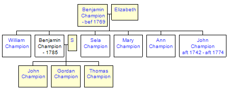 Mini tree diagram