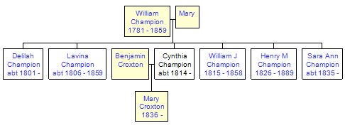 Mini tree diagram