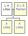 Mini tree diagram