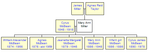 Mini tree diagram