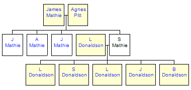 Mini tree diagram