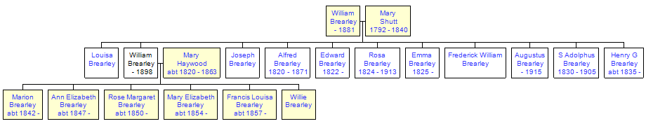 Mini tree diagram