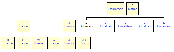 Mini tree diagram