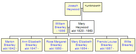 Mini tree diagram