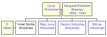 Mini tree diagram