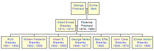 Mini tree diagram