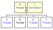 Mini tree diagram