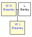 Mini tree diagram