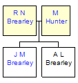 Mini tree diagram