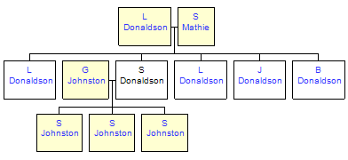 Mini tree diagram