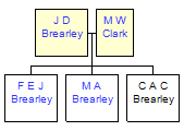 Mini tree diagram