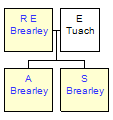 Mini tree diagram