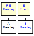 Mini tree diagram