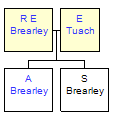 Mini tree diagram