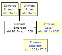 Mini tree diagram