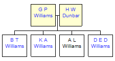 Mini tree diagram