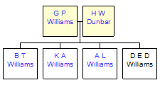 Mini tree diagram