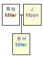 Mini tree diagram