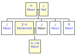 Mini tree diagram