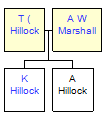 Mini tree diagram