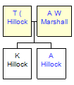 Mini tree diagram