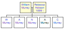 Mini tree diagram