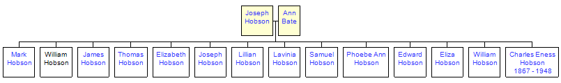 Mini tree diagram