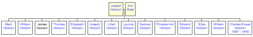 Mini tree diagram