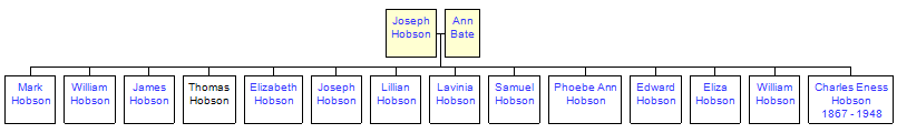 Mini tree diagram