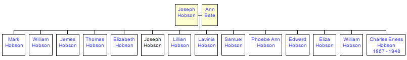 Mini tree diagram