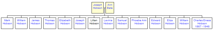 Mini tree diagram