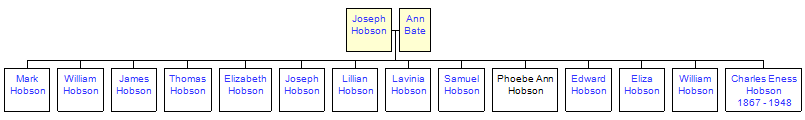 Mini tree diagram