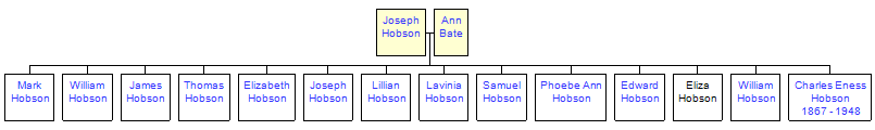 Mini tree diagram