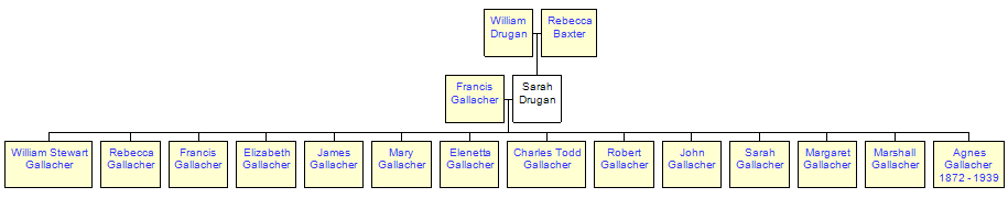 Mini tree diagram