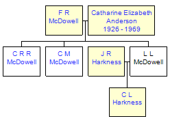 Mini tree diagram