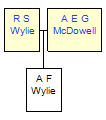 Mini tree diagram