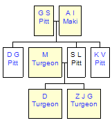 Mini tree diagram