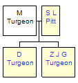 Mini tree diagram