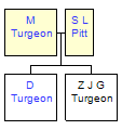 Mini tree diagram