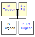 Mini tree diagram