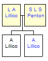 Mini tree diagram