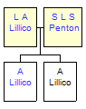 Mini tree diagram