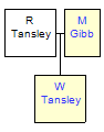 Mini tree diagram