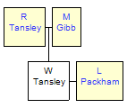 Mini tree diagram