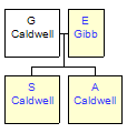 Mini tree diagram